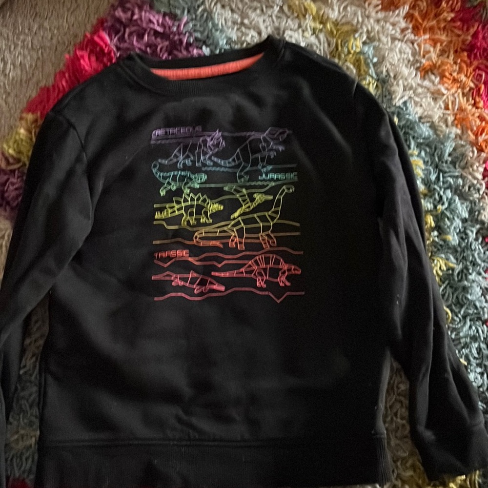 Cat and Jack Sweatshirt dinosaurs  6/7